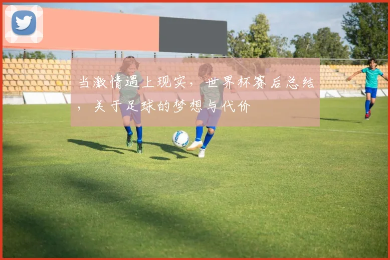 当激情遇上现实，世界杯赛后总结，关于足球的梦想与代价