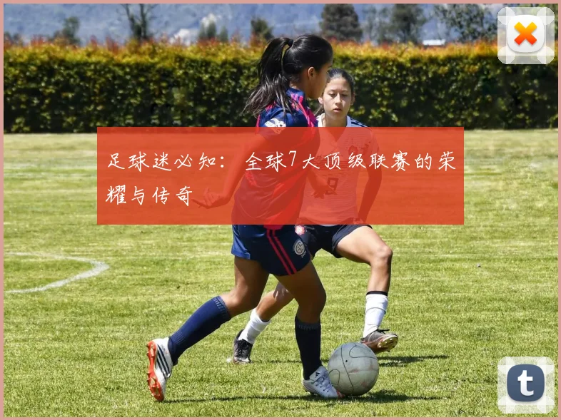 足球迷必知：全球7大顶级联赛的荣耀与传奇
