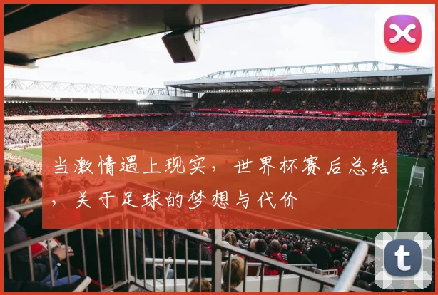 当激情遇上现实,世界杯赛后总结,关于足球的梦想与代价